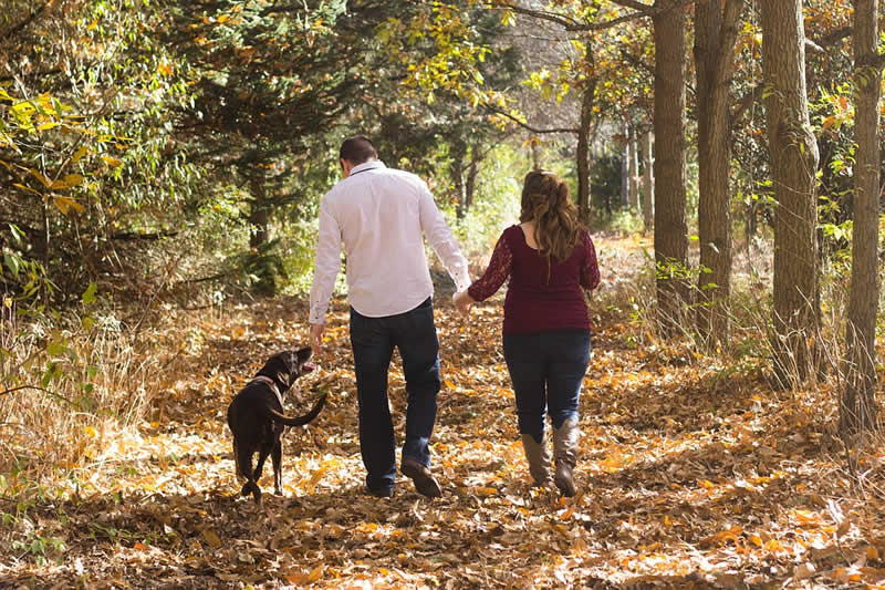 Wanderung mit Hund durchführen