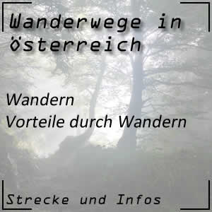 Vorteile durch Wandern