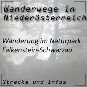 Wanderung im Naturpark Falkenstein-Schwarzau im Gebirge