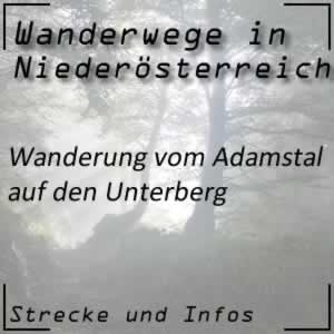 Wanderung vom Adamstal auf den Unterberg