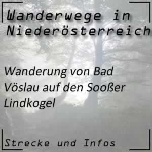 Wanderung von Bad Vöslau auf den Soßer Lindkogel