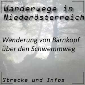 Wanderung von Bärnkopf über den Schwemmweg