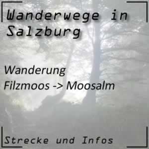 Wanderung von Filzmoos auf die Moosalm