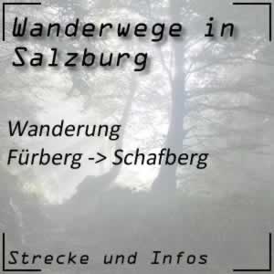 Wanderung von Fürberg auf den Schafberg beim Wolfgangsee