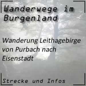 Wanderung über das Leithagebirge von Purbach nach Eisenstadt