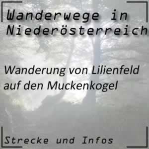 Wanderung von Lilienfeld auf den Muckenkogel