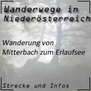 Wanderung von Mitterbach zum Erlaufsee