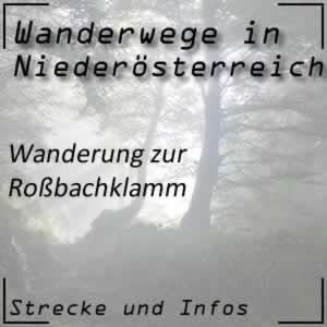 Wanderung zur Roßbachklamm