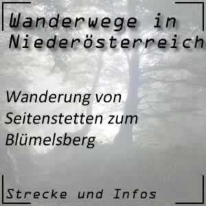 Wanderung von Seitenstetten zum Blümelsberg