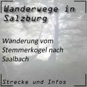 Wanderung vom Stemmerkogel hinab nach Saalbach