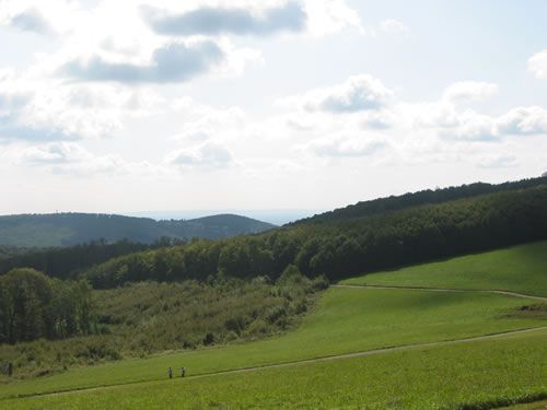 Stadtwanderweg Sophienalpe