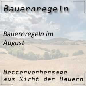 Bauernregeln im August