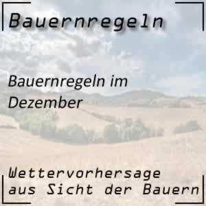 Bauernregeln im Dezember