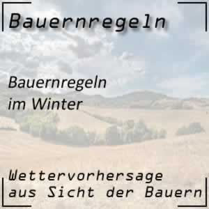 Bauernregeln über den Winter