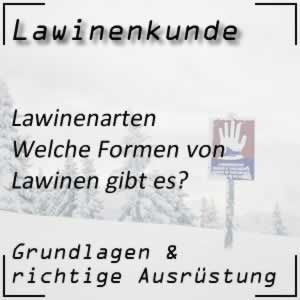 Lawinenkunde Lawinenarten Lawinenformen