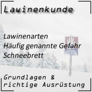 Lawinenkunde Lawinenarten Schneebrett