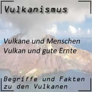 Gute Ernte an den Vulkanhängen