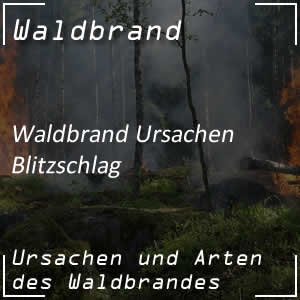 Blitzschlag löst Waldbrand aus