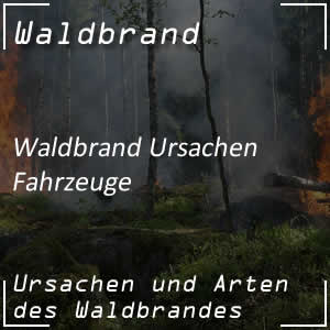 Fahrzeug als Auslöser von Waldbrand