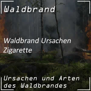 Zigarette löst Waldbrand aus