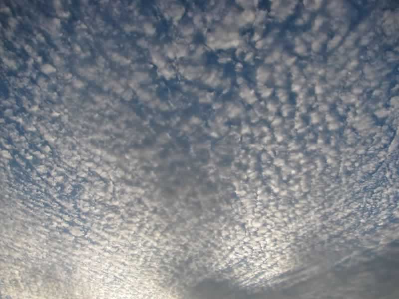 Wetter Cirrocumulus