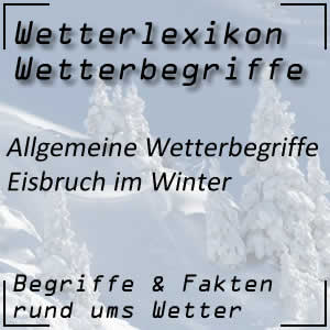 Eisbruch durch schweren Schnee