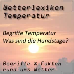 Hundstage im Hochsommer