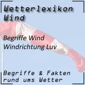 Luv beim Wind