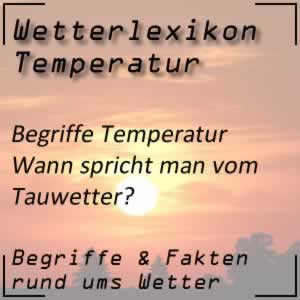 Tauwetter und seine Bedeutung