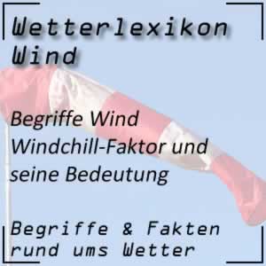 Windchill-Faktor