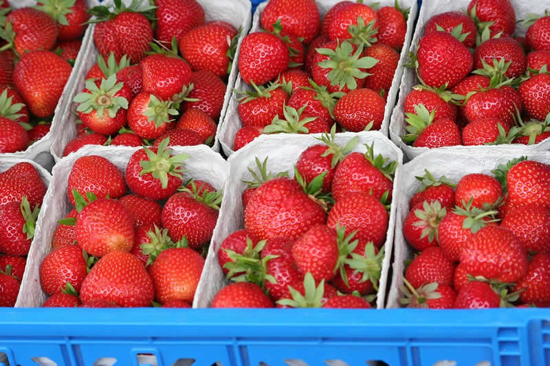 Obst und Gem&uuml;se am Bauernmarkt Kobersdorf