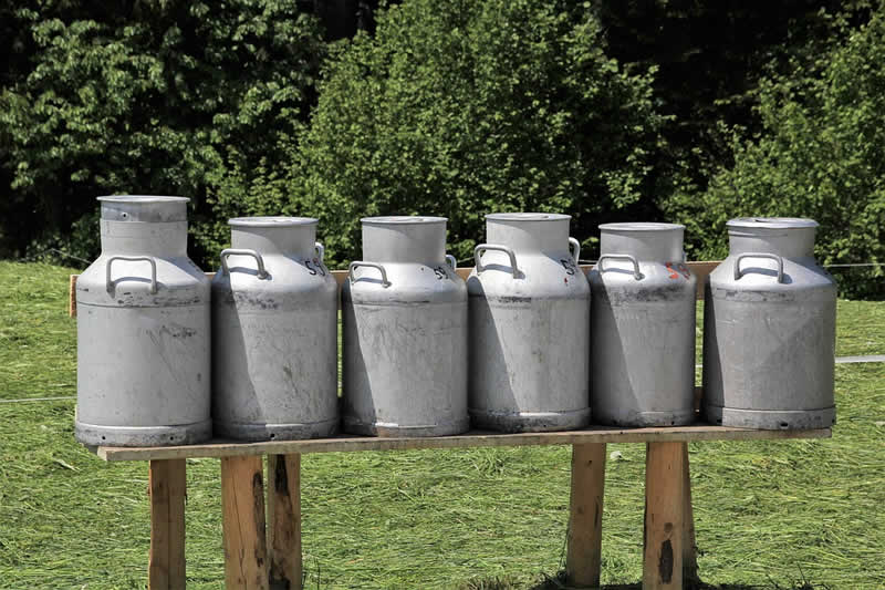 Milch am Bauernmarkt in Mattersburg
