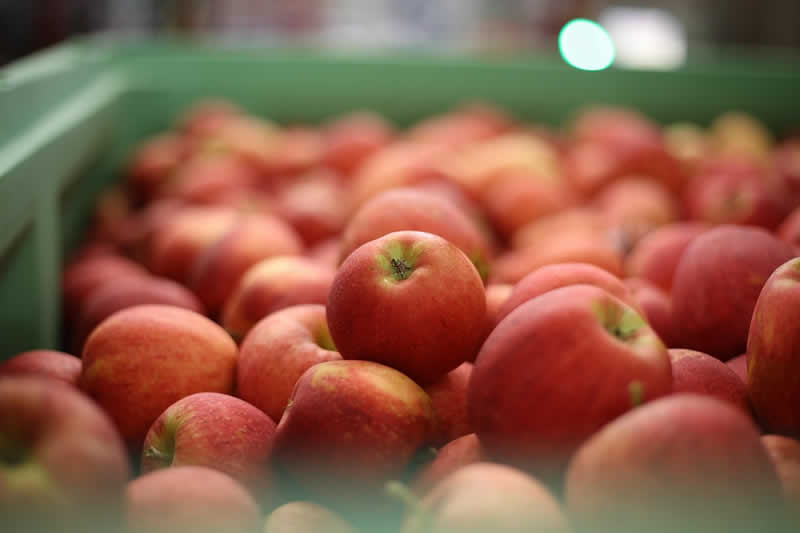 Bauernprodukte am Mazzuccomarkt in Wien