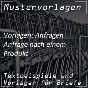 Mustervorlage Anfrage nach Produkt