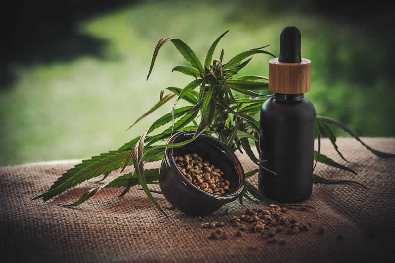 Autoflowering Hanfsamen