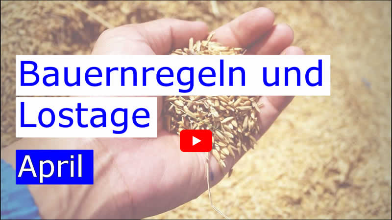 Video über die Bauernregeln und Lostage im April