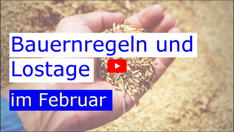 Video über die Lostage im Februar