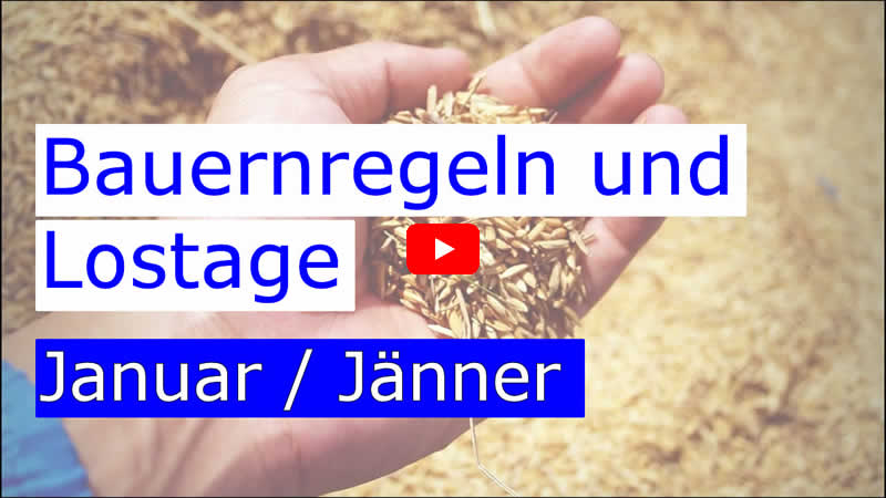 Video über die Lostage im Jänner