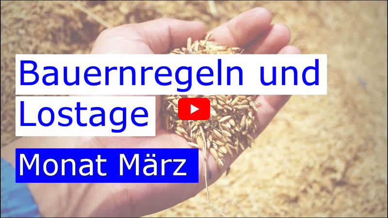 Video über die Lostage im März