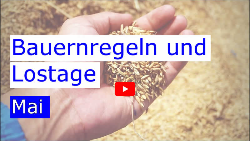 Video zu Bauernregeln und Lostage im Mai