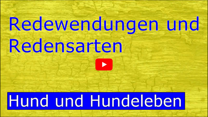 Video über die Redewendungen rund um den Hund